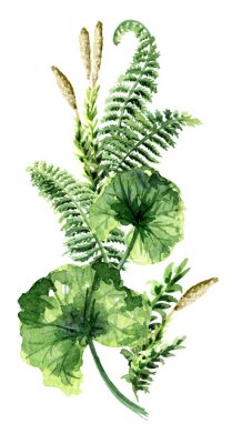 Illustration verticale de plantes tropicales