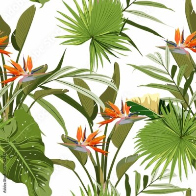 Papier peint  Illustration with orange strelitzia exotic flowers. Beautiful seamless background with tropical plants on white. Composition with flowers and exotic palm leaves.