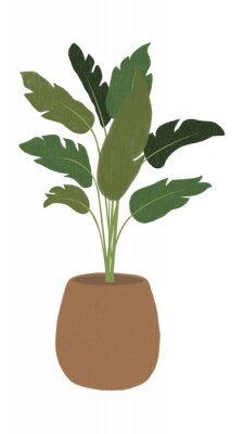 Papier peint  ilustración digital de planta strelitzia en maceta marrón de barro para decoración de interior