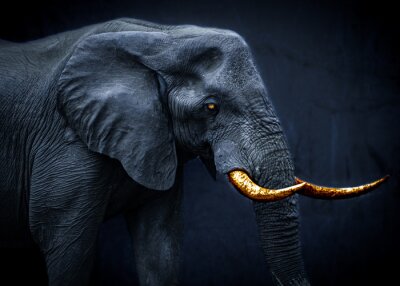 Papier peint  Image d'éléphant style fantasy