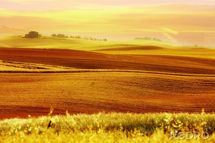 Papier peint  image du paysage toscan typique
