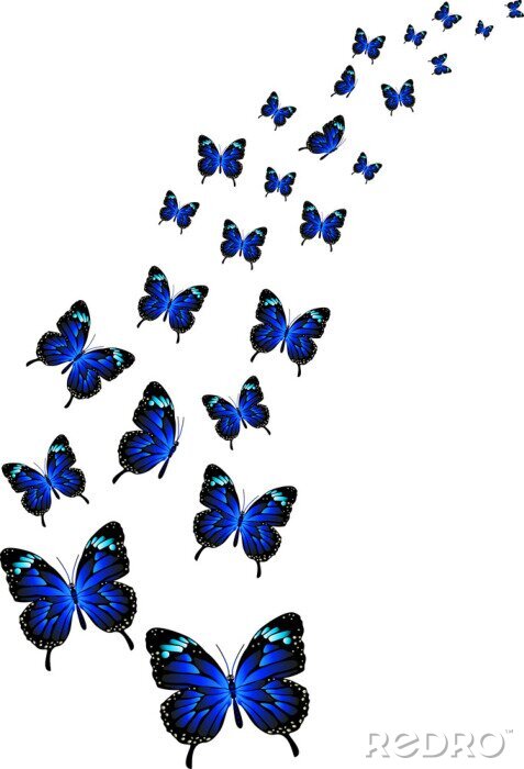 Papier peint  Image en trois dimensions papillons