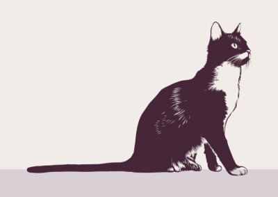 Papier peint  Image graphique monochrome avec un chat