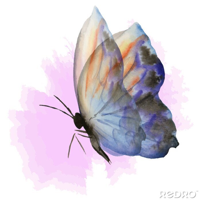 Papier peint  Image graphique papillon
