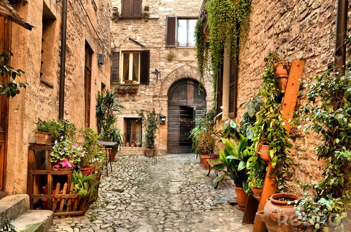 Papier peint  Impasse en pierre et plantes