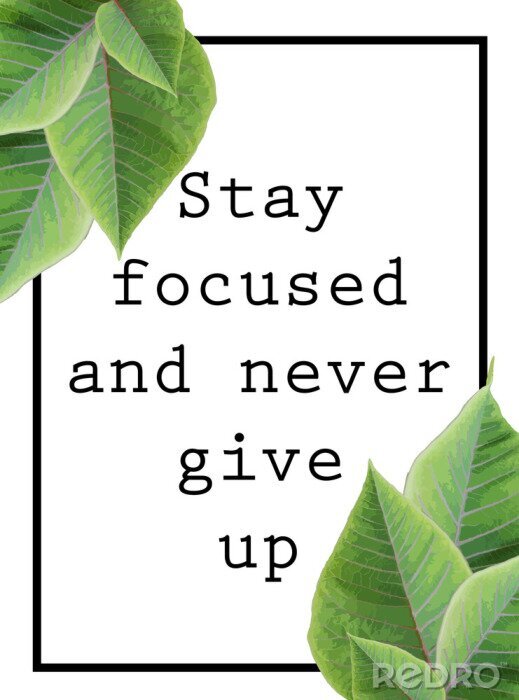 Papier peint  Impression