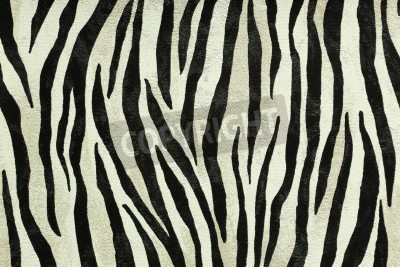 Papier peint  Imprimé tigre texture