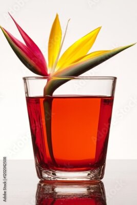 Papier peint  In a cozy interior, a high-quality image captures the beauty of Strelitzia reginae, also known as birds of paradise, with their colorful flowers set against a white backdrop and a red vase.