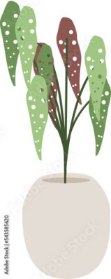 Papier peint  indoor house plant strelitzia