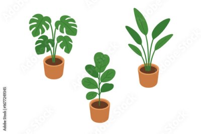 Papier peint  Indoor plant icon set in isometric flat design. Vector illustration of tropical potted plants like monstera deliciosa, bird of paradise, and fiddle leaf for home decor.