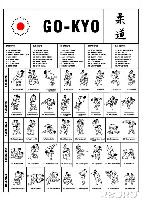 Papier peint  Instruction sportive judo