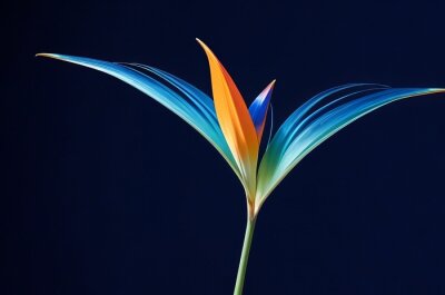 Papier peint  Isolated Strelitzia - Bird of Paradise Flower on Black Background. Generative AI.