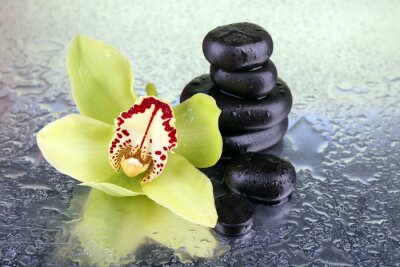 Jaune fleur d'orchidée tropicale et spa pierres