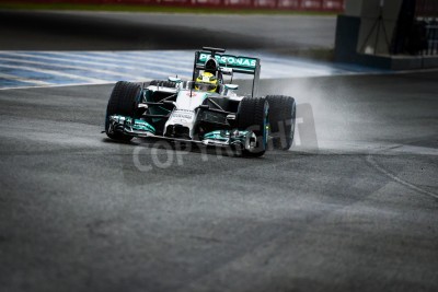 Papier peint  JEREZ, ESPAGNE - Janvier 31: Nico Rosberg Mercedes W05 tester sa nouvelle voiture de F1 sur le premier test sur le circuit de Jerez à Jerez, Andalousie, Espagne 31 janvier 2014e