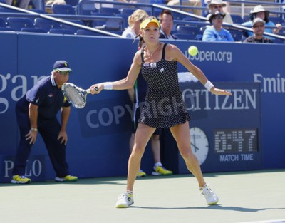 Papier peint  Jeu d'Agnieszka Radwanska