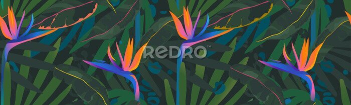 Papier peint  Jungle abstraite de strelitzias et de feuilles vertes