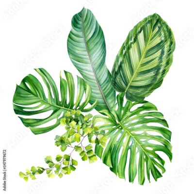 Papier peint  Jungle botanical watercolor illustrations, bouquet, tropical plants, palm leaves, monstera, calathea, strelitzia, fernon white background