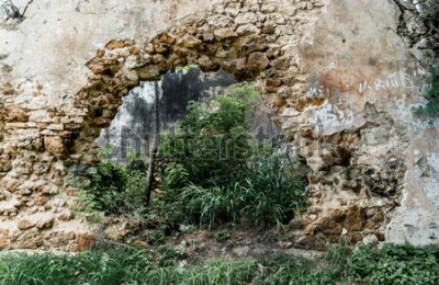 Papier peint  Jungle derrière un trou dans le mur