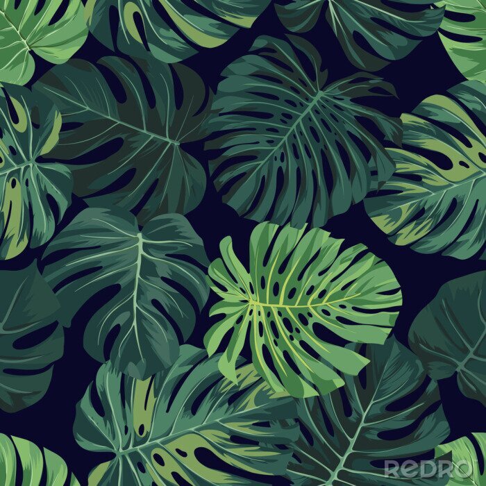 Papier peint  Jungle et feuilles en 3D