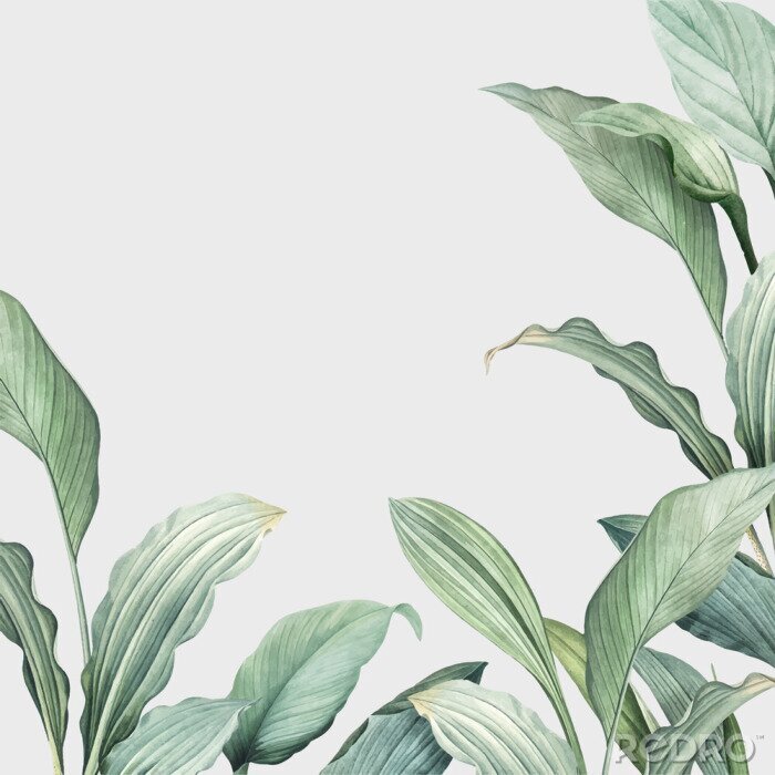 Papier peint  Jungle et feuilles peintes à l'aquarelle