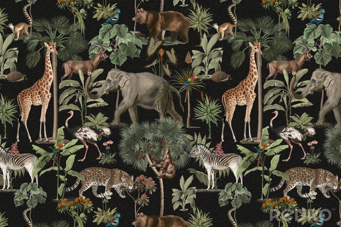 Papier peint  Jungle pattern background wild animals