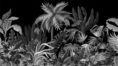 Papier peint  Jungle sur fond noir