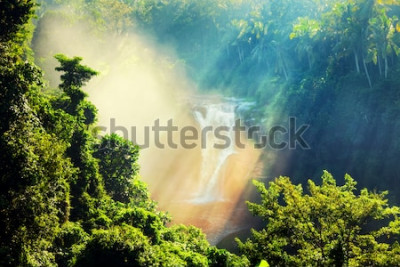 Papier peint  Jungle tropicale et chute d'eau