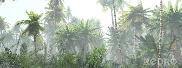 Papier peint  Jungle tropicale paysage légèrement brumeux
