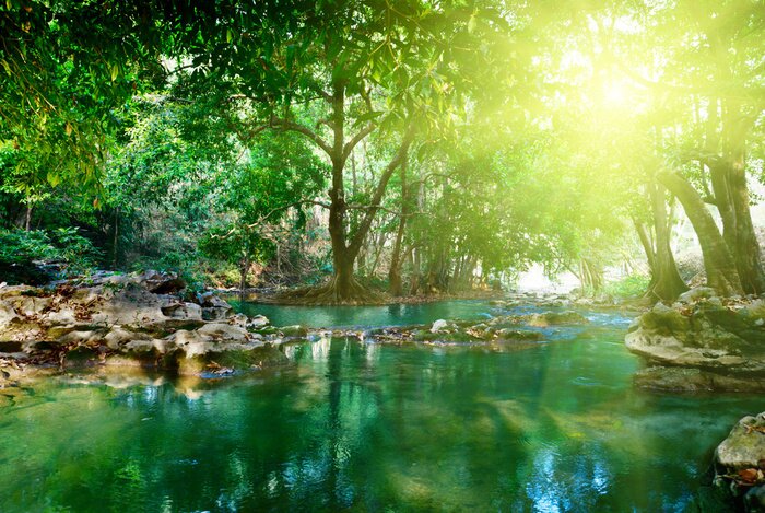 Papier peint  Jungle Turquoise