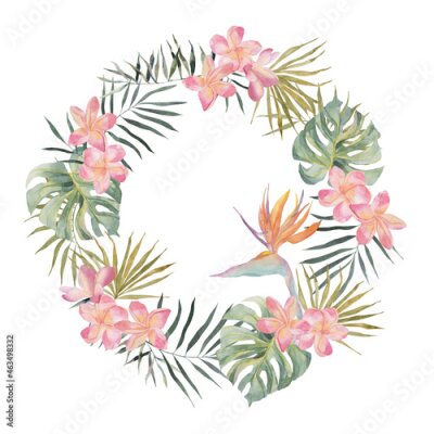 Papier peint  Jungle wreath. Strelitzia, plumeria, monstera, palm leaves. Watercolor hand drawn. Frame isolated on white background. For holiday invitation, postcard, poster, background, party cards for birthday.