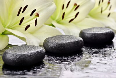 Sticker  Kamienie bazaltowe z liliami w tle