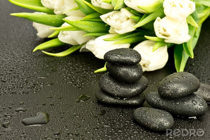 Papier peint  Kamienie spa