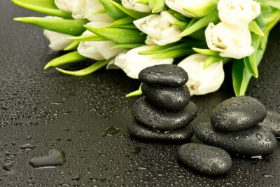 Sticker  Kamienie spa