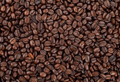 Kilogrammes de grains de café
