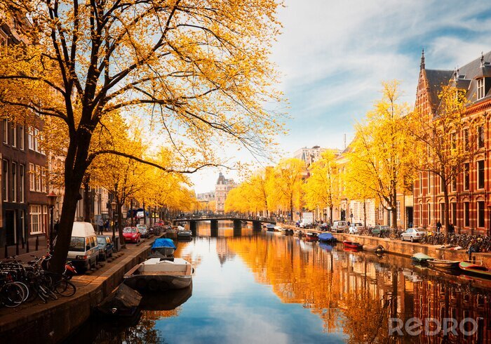 Papier peint  L'automne doré à Amsterdam