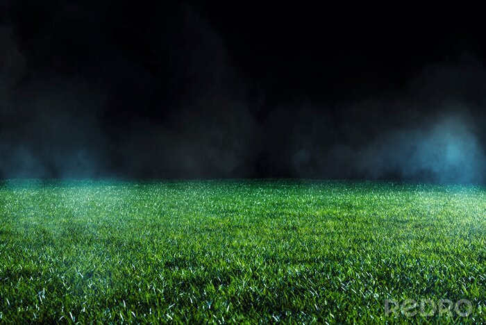 Papier peint  L'herbe pour le sport