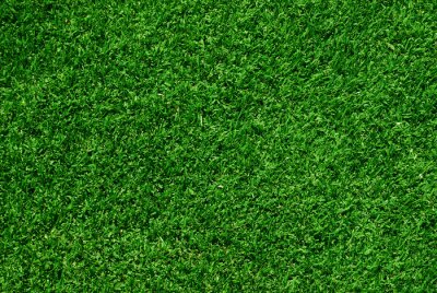 Papier peint  L'herbe verte vue d'en haut