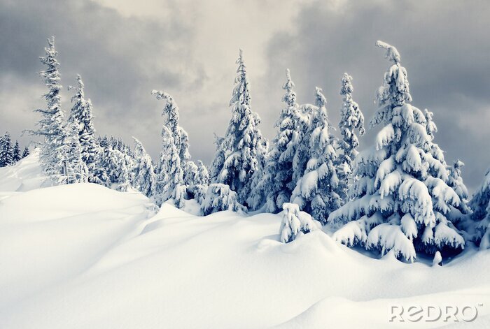 Papier peint  L'hiver dans les montagnes