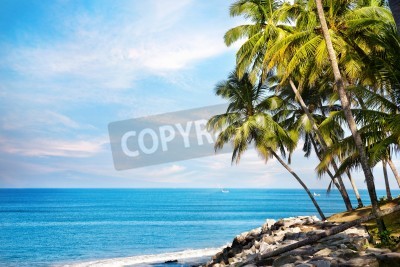 Papier peint  L'océan bleu et les tropiques