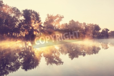 Papier peint  L'ombre des arbres au bord de la rivière