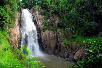 Papier peint  La chute d'eau rocheuse et la jungle