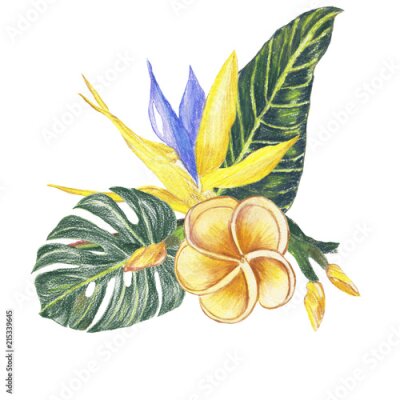 Papier peint  la composition du tropical.watercolor, Strelitzia, jungle, palmiers, fleurs, composition