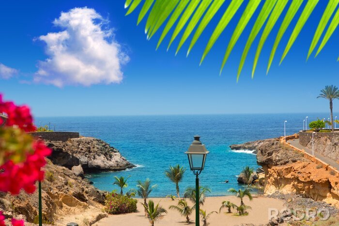 Papier peint  La côte et la mer à Ténériffe