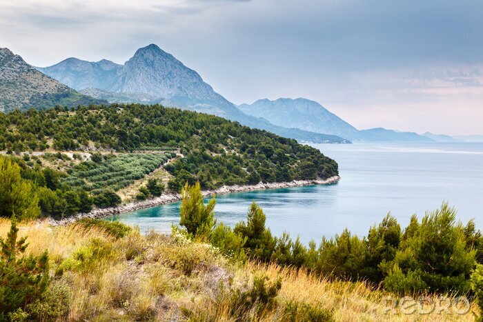 Papier peint  La côte verte au bord de la mer