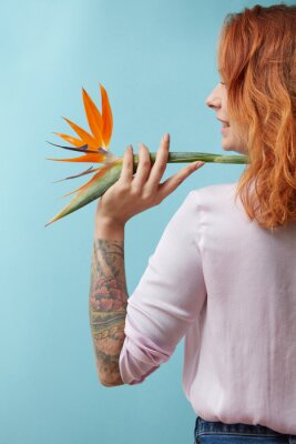 Papier peint  La fille tient une belle fleur de strelitzia