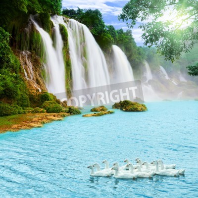 Papier peint  La grande chute d'eau dans la forêt vierge