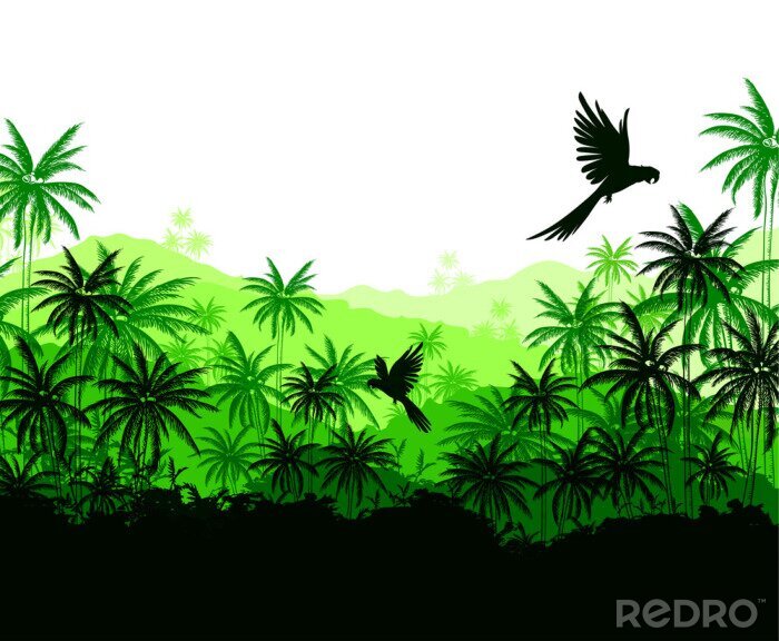 Papier peint  La jungle dans un style graphique