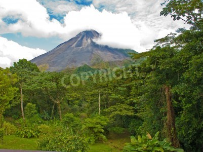 Papier peint  La jungle en arrière-plan du volcan