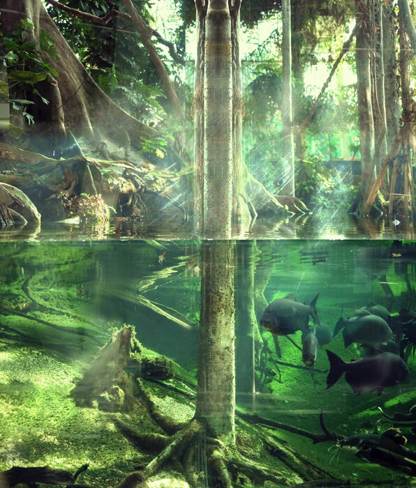 Papier peint  La jungle sous l'eau