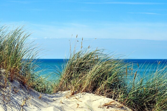 Papier peint  La mer et la plage